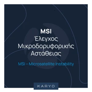 Έλεγχος Μικροδορυφορικής Αστάθειας (MSI)