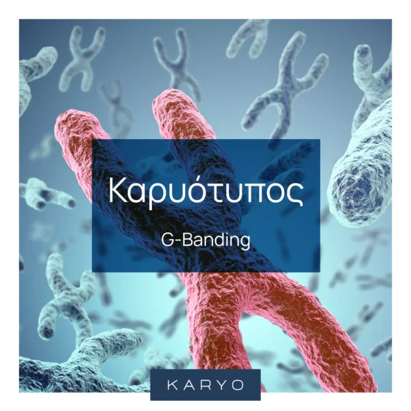 Καρυότυπος (G banding)