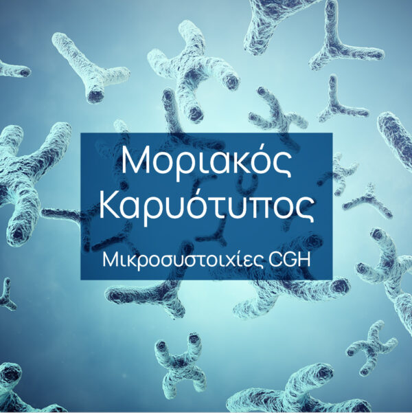 Molecular Karyotype