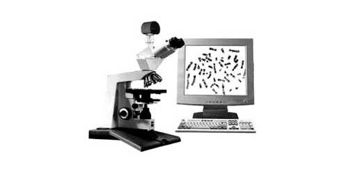 VideoTesT Karyo System