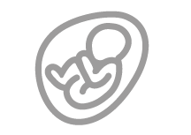 03 Διαθέσιμο